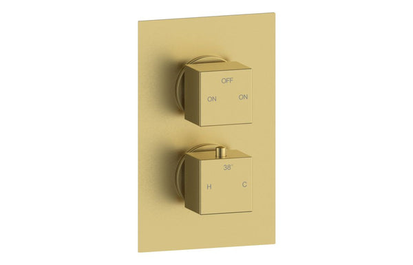 Nebula Thermostatic Two Outlet Twin Shower Valve - Brushed Brass