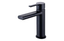 Evolve Basin Mixer - Matt Black