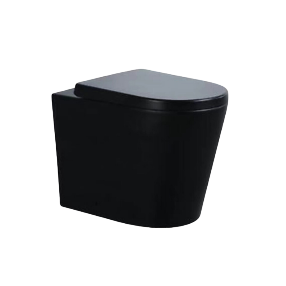 Matte Black D-Shape Closed Back Rimless Pan