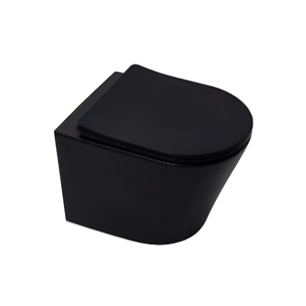 Matte Black D-Shape Closed Back Rimless Wall Hung Pan