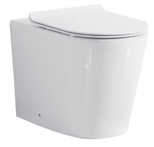 Round Back to Wall Pan Rimless Flush