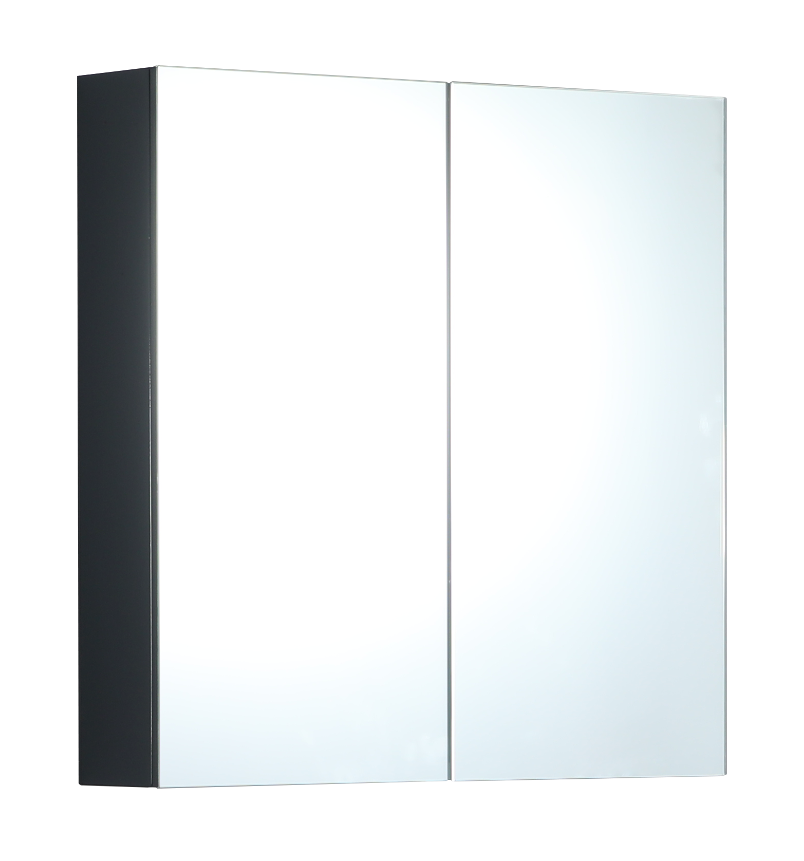 Monza 750mm Waterproof Mirror Cabinet