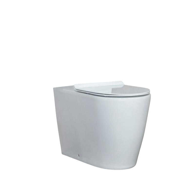 Comfort Height Round Back to Wall Pan Rimless Flush