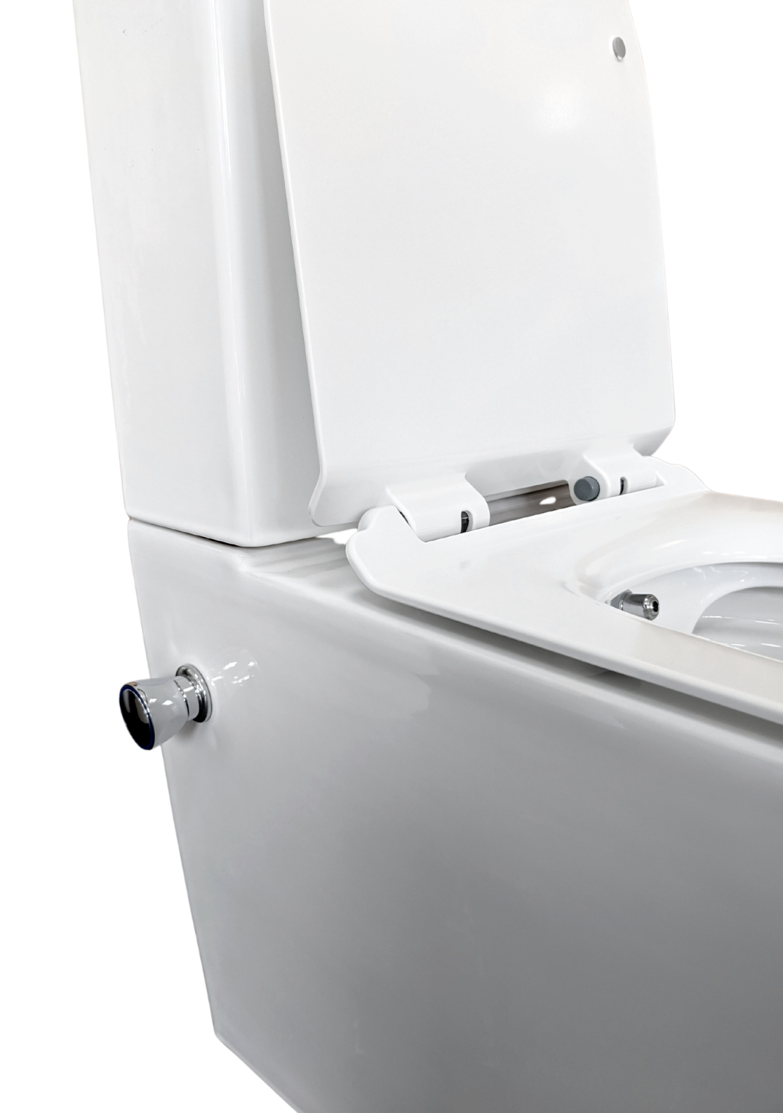 Comfort Height Closed Back Close Coupled Bidet Toilet