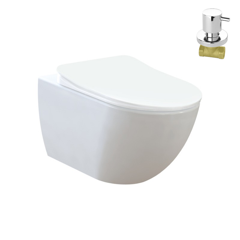 Free Combination Bidet Wall Hung Toilet